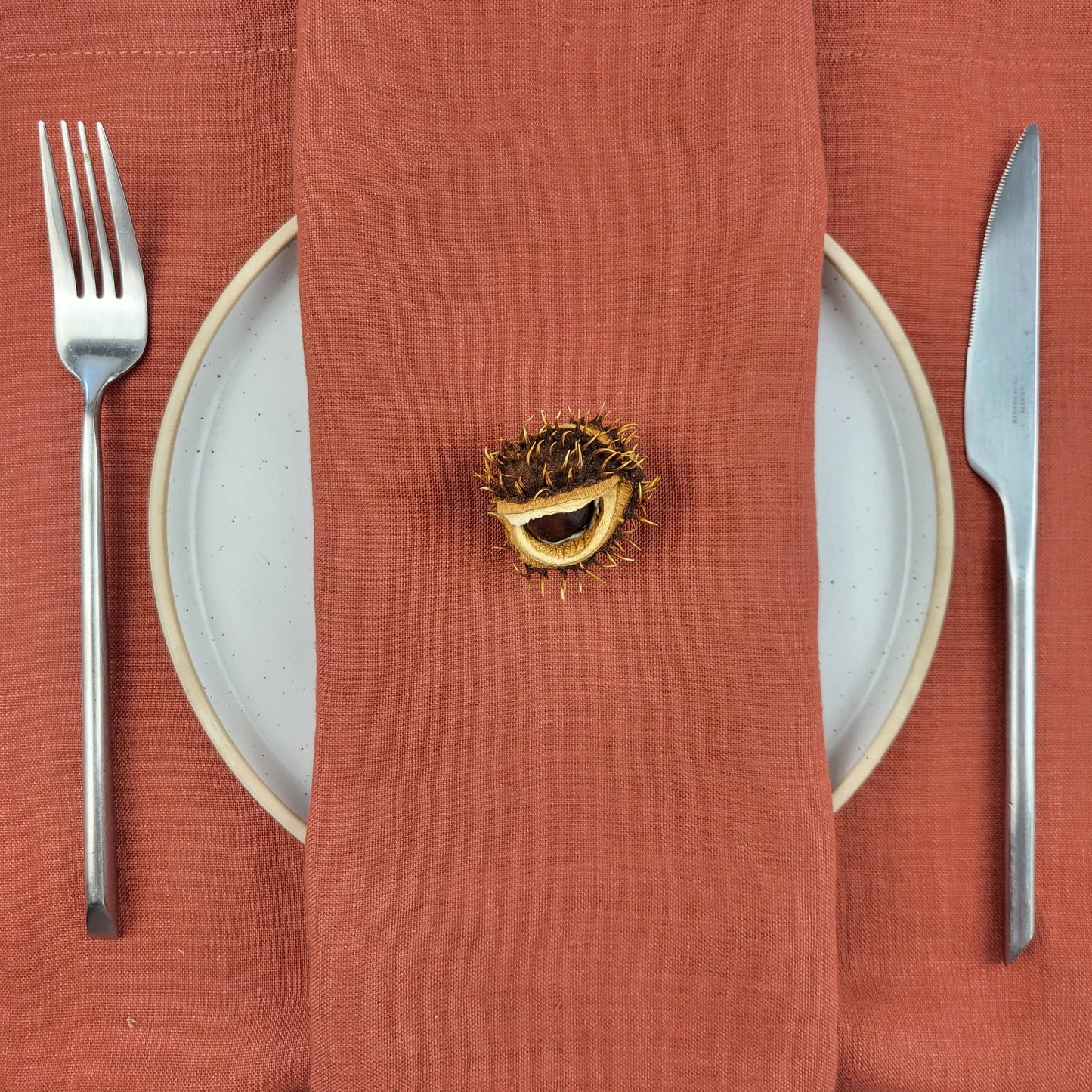 Terracotta Linen Napkins